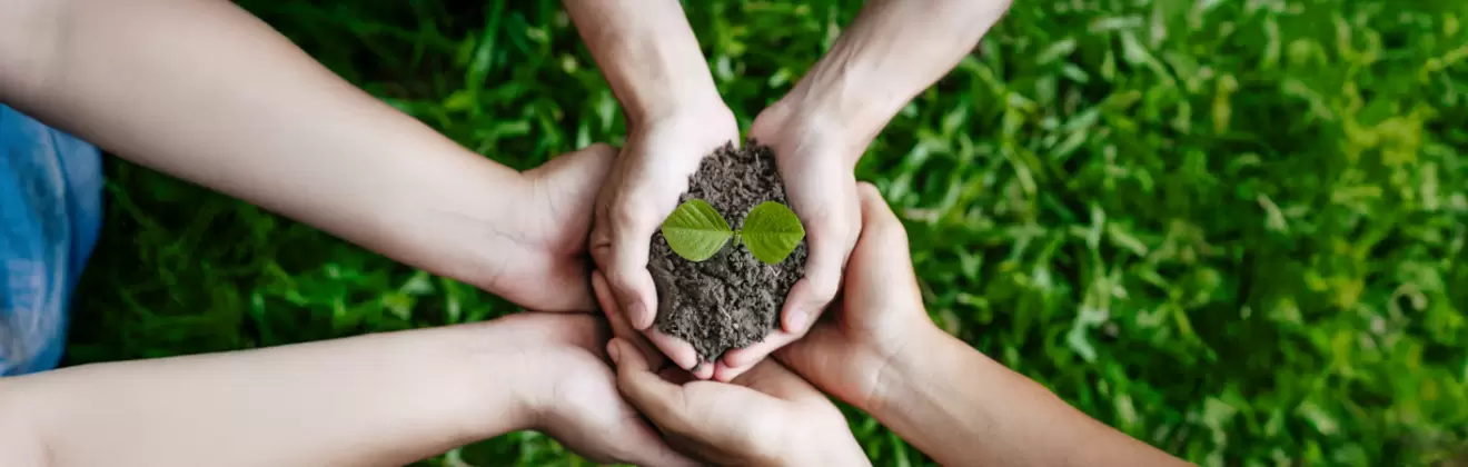 Sustainability
