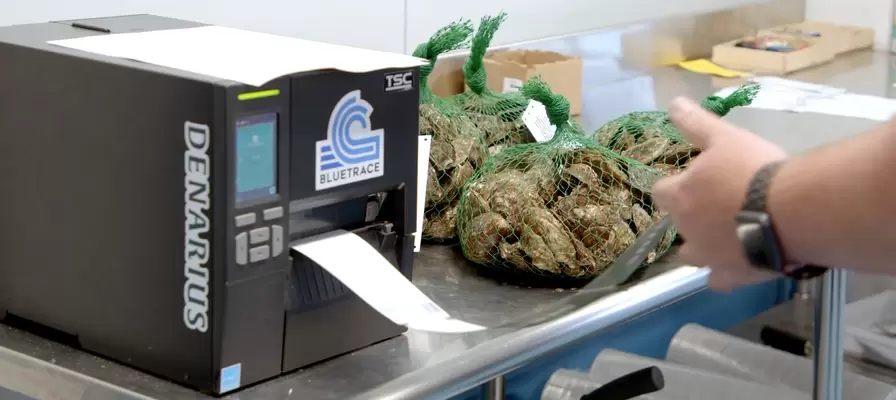 Seafood Labeling Solutions: How BlueTrace Reels in Efficiency, Compliance